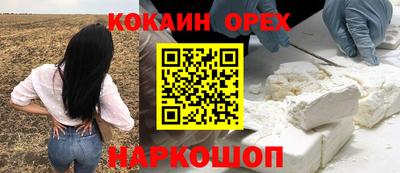 сатива Заводоуковск