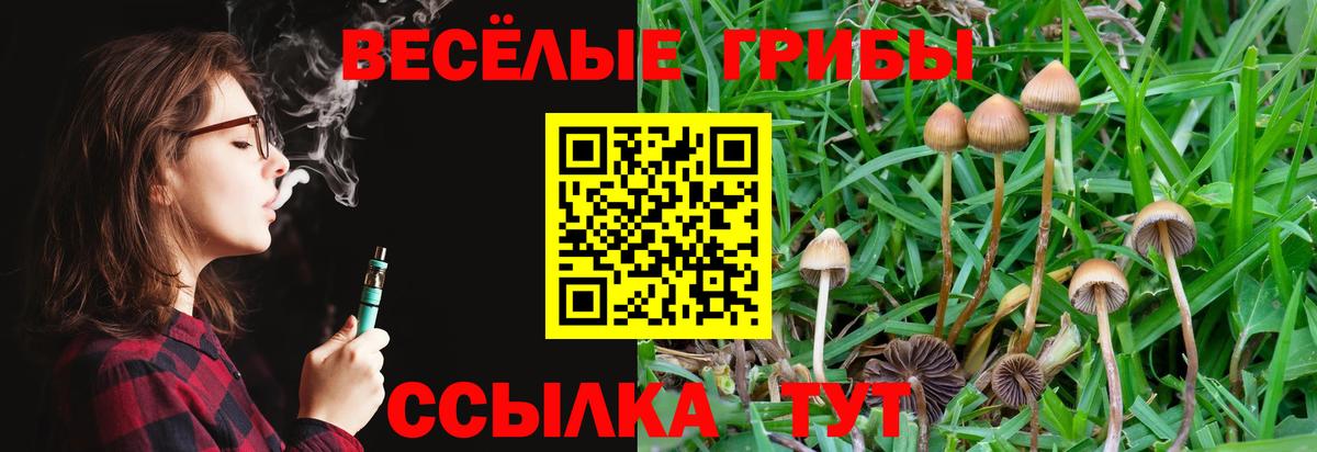 Псилоцибиновые грибы прущие грибы  Галлюциногенные грибы GOLDEN TEACHER  Вход с VPN  Ленинск-Кузнецкий 